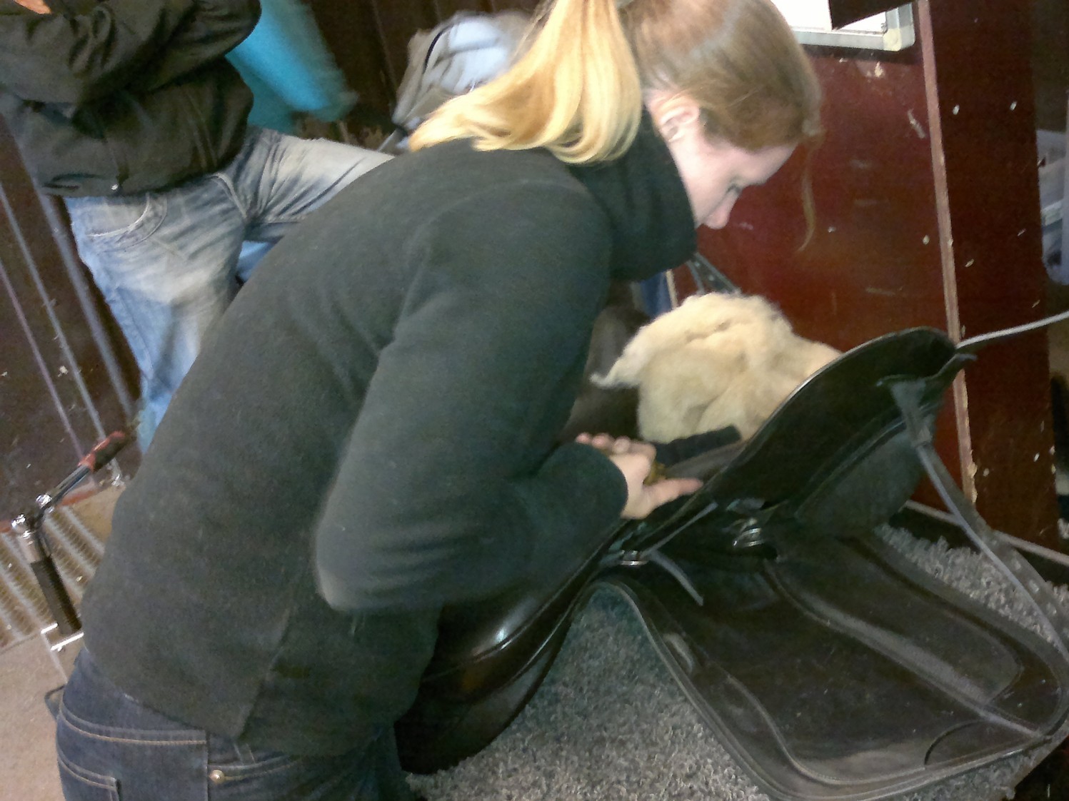 Stall Rustorp - sadelutprovning