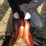 Stall Rustorp - sadelutprovning