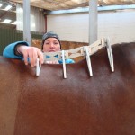 Stall Rustorp - sadelutprovning