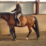 Stall Rustorp - sadelutprovning