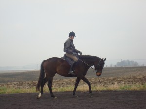 Stall Rustorp - Penny Bettlöst