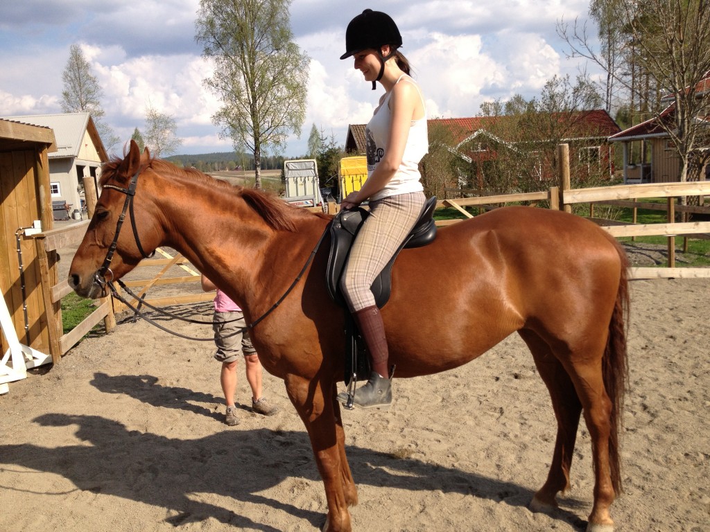 2013-05-18 16.48.241